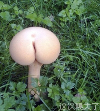 ĥ.jpg