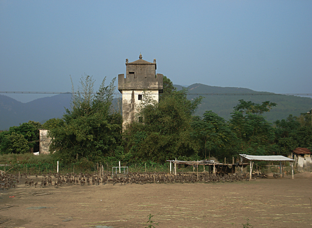 DSC00028.jpg