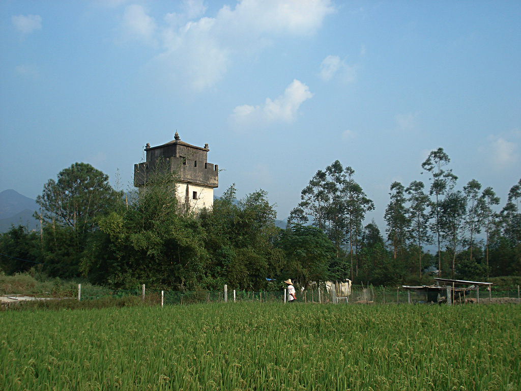 DSC00027.jpg