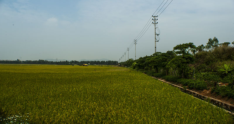 DSC_0258.jpg
