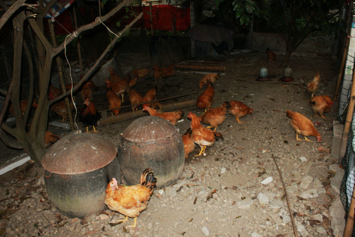 Canon&#39;s T2i 095.JPG