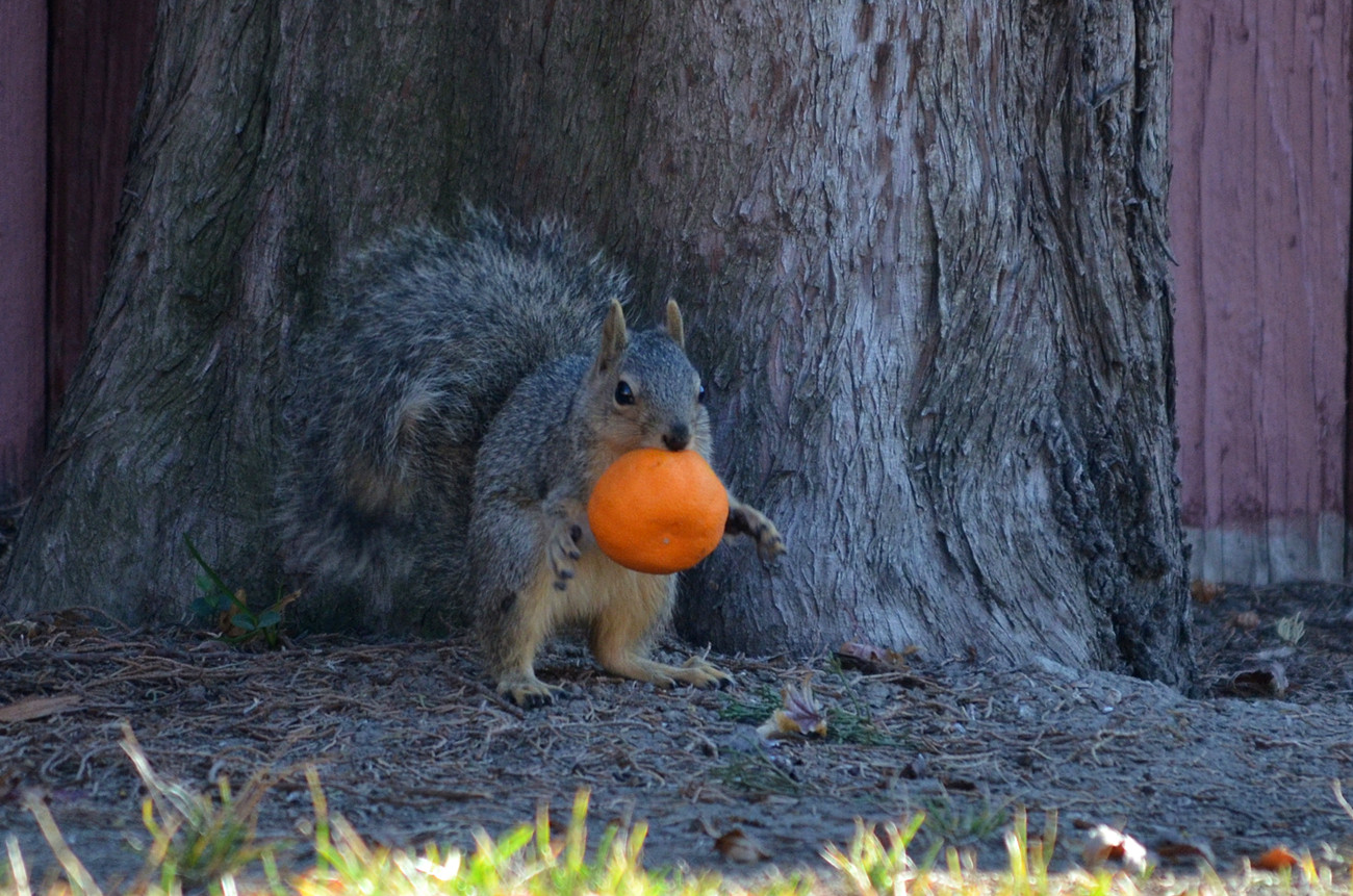 DSC_8132_13.jpg