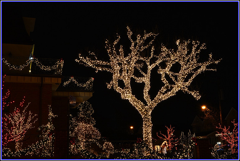DSC_2031.jpg