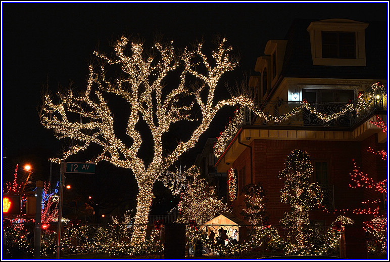 DSC_2113.jpg