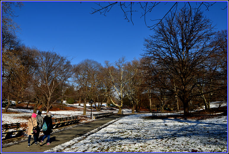 DSC_1762-2.jpg