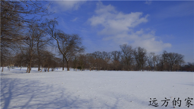 P1000067.jpg