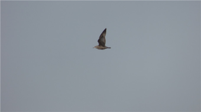 P1000285.JPG