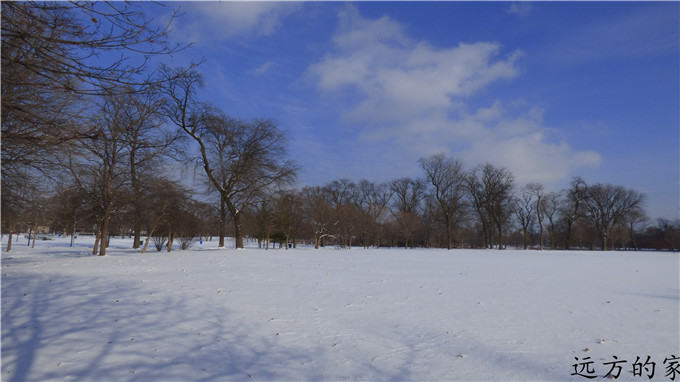 P1000067.JPG