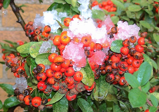 100_6602.jpg