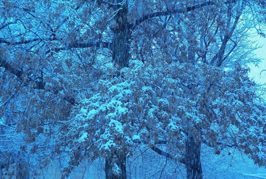 100_6577.jpg