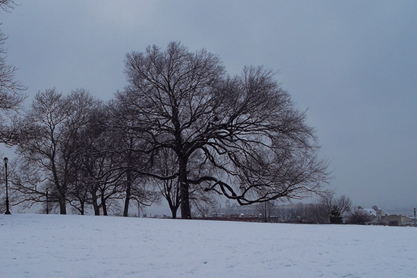 100_6631.jpg