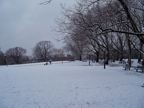 100_6629.jpg