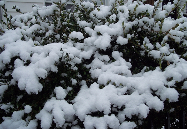 100_6589.jpg