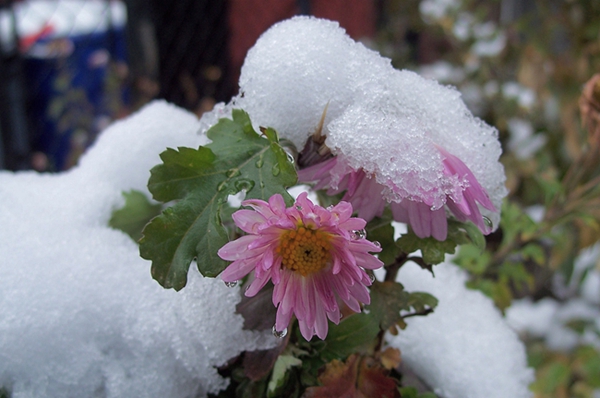 100_6598.jpg