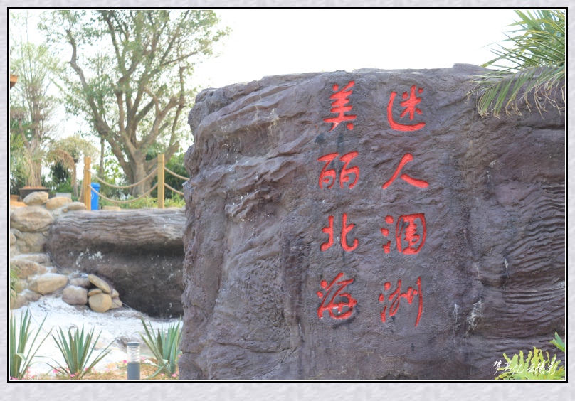 20131022 052_conew1.jpg