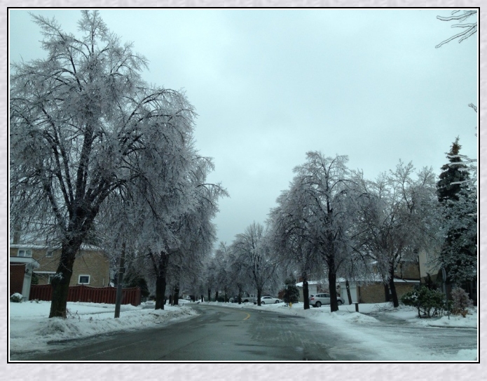 QQͼƬ20131225002819_conew1.jpg
