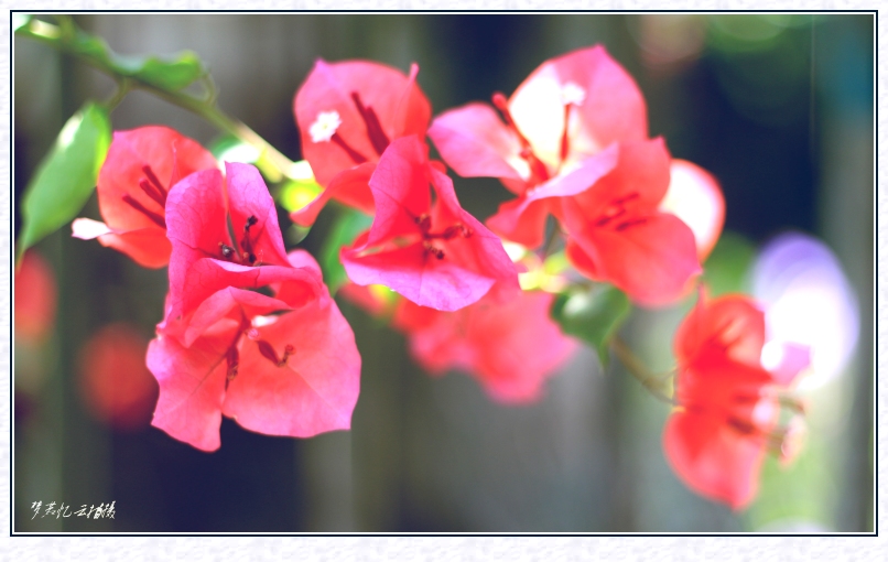 20131022 198_conew2.jpg