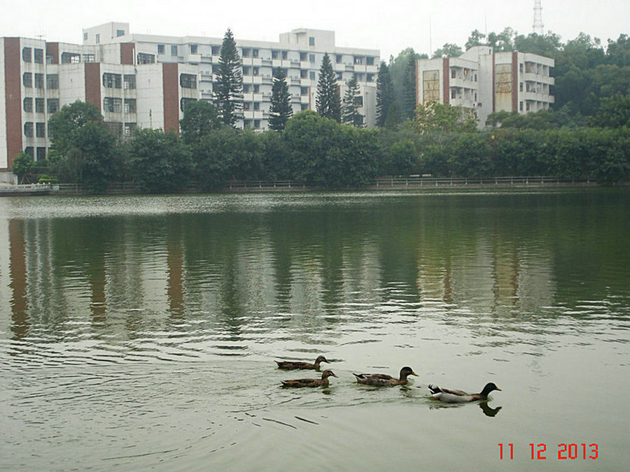 DSC03075_.jpg