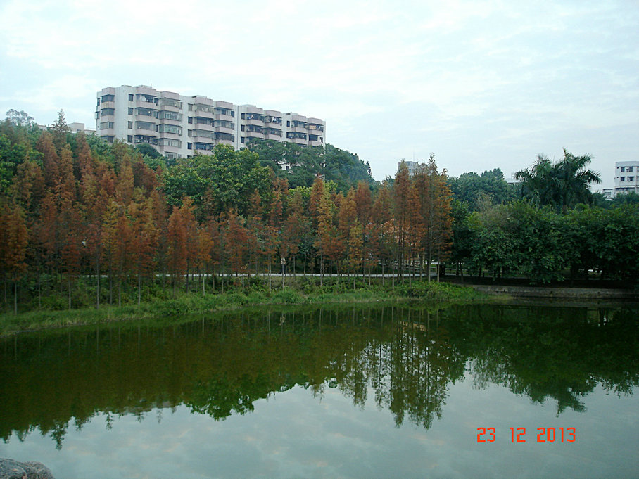 DSC03211_.jpg
