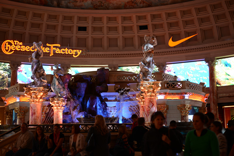 Thanksgiving at Las Vegas 2013 161_.jpg