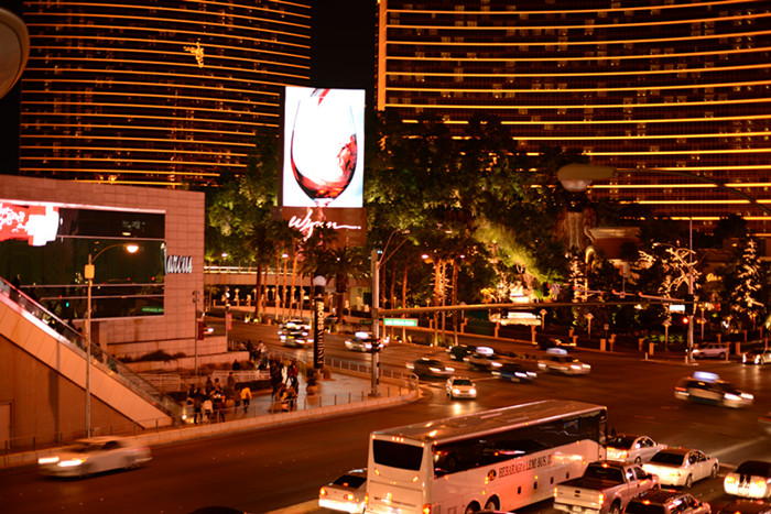 Thanksgiving at Las Vegas 2013 058_.jpg