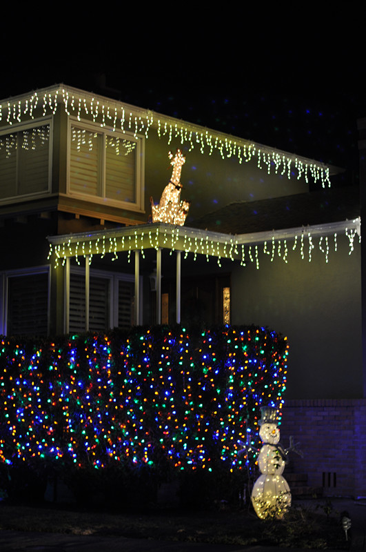 Christmas -- 2013 061_.jpg