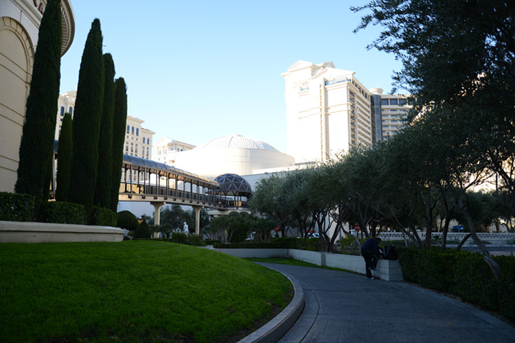 Thanksgiving at Las Vegas 2013 217_.jpg