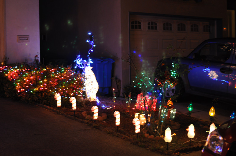 Christmas -- 2013 117_.jpg
