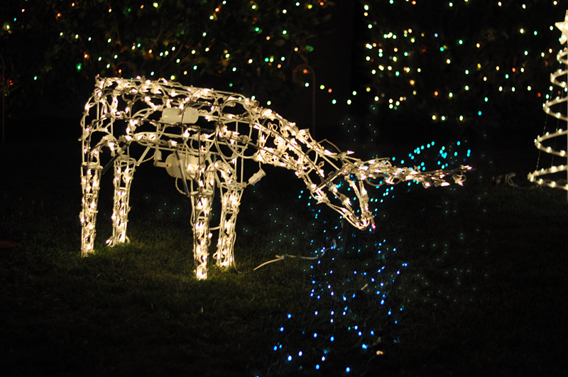 Christmas -- 2013 130_.jpg