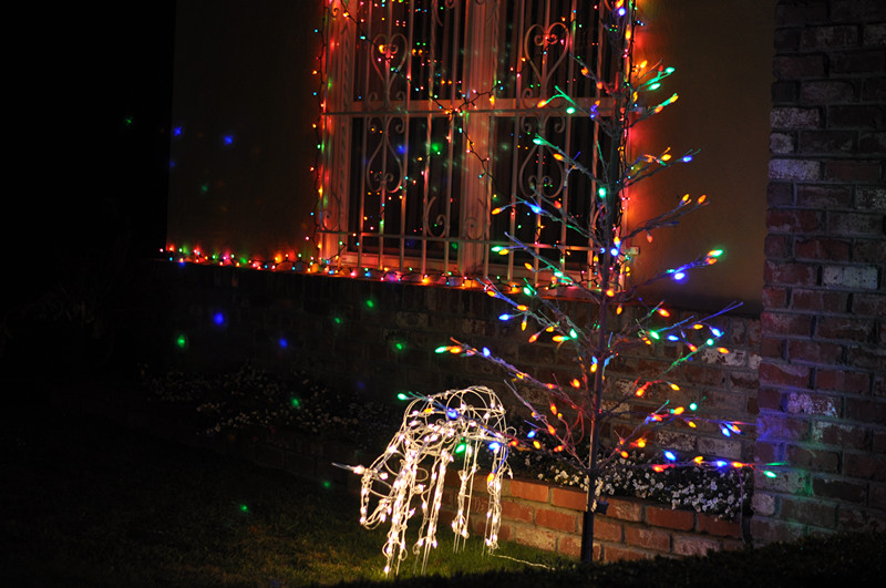 Christmas -- 2013 068_.jpg