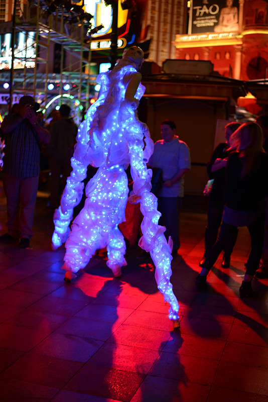 Thanksgiving at Las Vegas 2013 513_.jpg