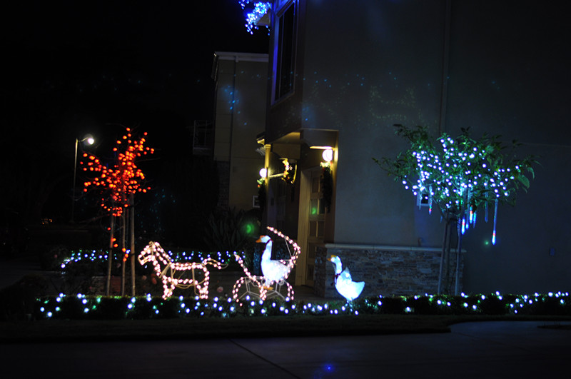 Christmas -- 2013 063_.jpg