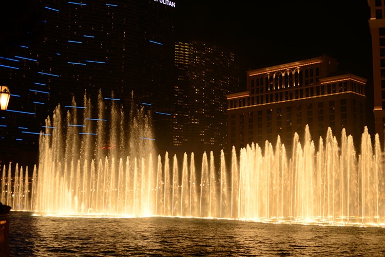 Thanksgiving at Las Vegas 2013 674_.jpg