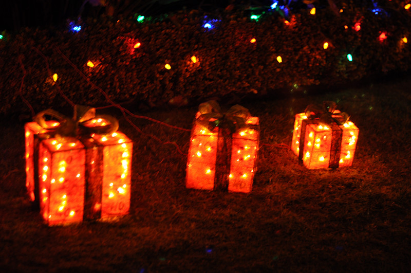Christmas -- 2013 135_.jpg
