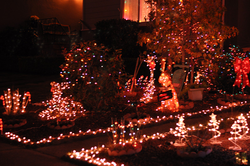 Christmas -- 2013 119_.jpg