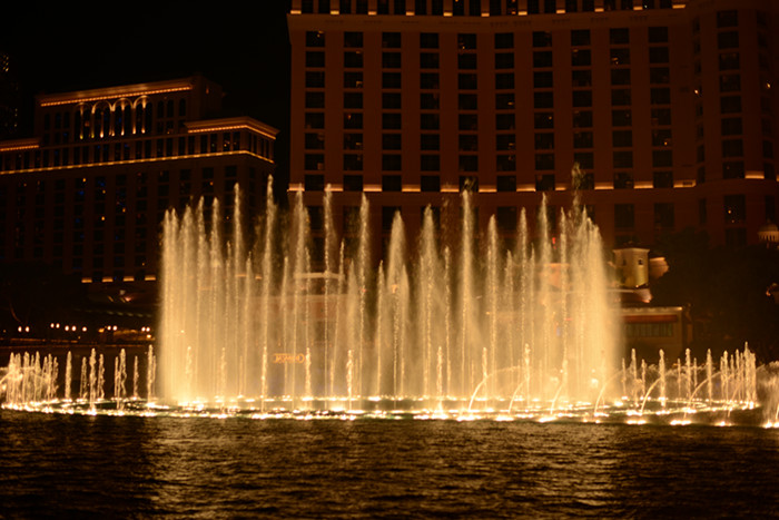 Thanksgiving at Las Vegas 2013 637_.jpg