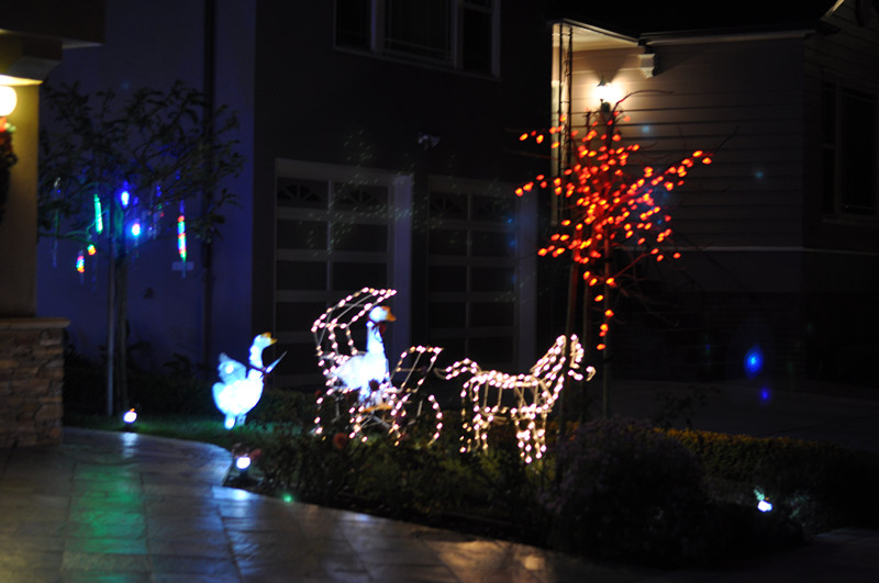Christmas -- 2013 045_.jpg