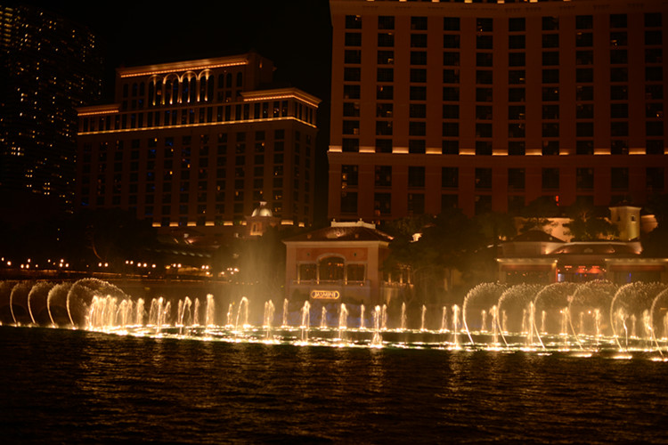 Thanksgiving at Las Vegas 2013 631_.jpg