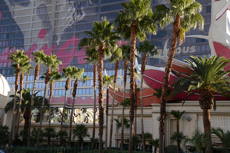 Thanksgiving at Las Vegas 2013 253_.jpg
