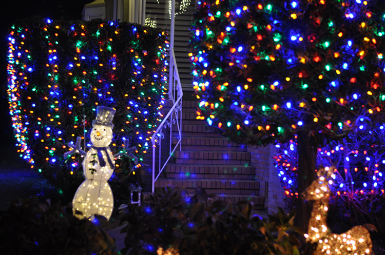 Christmas -- 2013 059_.jpg