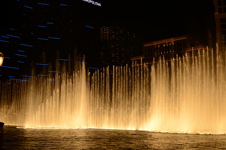 Thanksgiving at Las Vegas 2013 602_.jpg