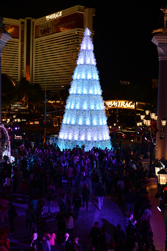 Thanksgiving at Las Vegas 2013 390_.jpg