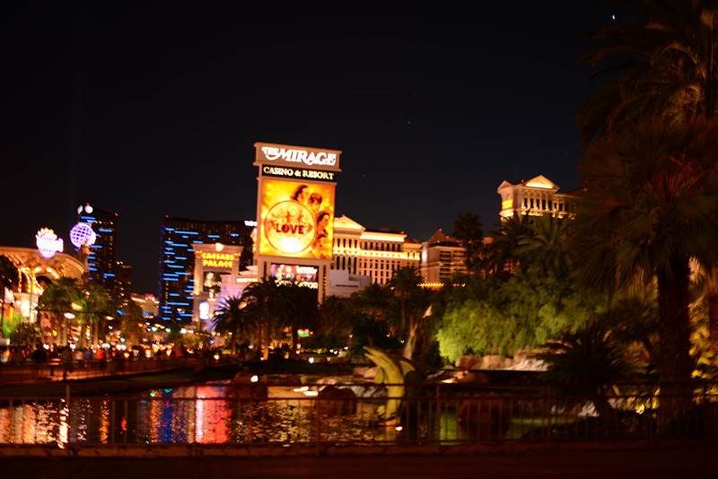 Thanksgiving at Las Vegas 2013 037_.jpg
