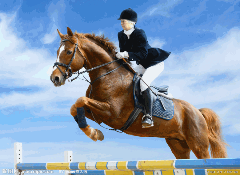 683202~1_conew1.gif