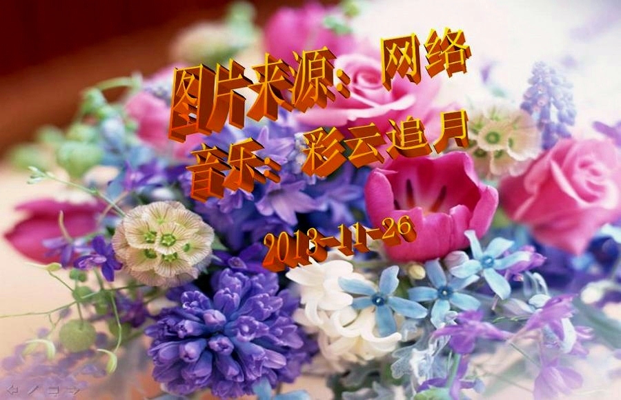 37189152_26.jpg