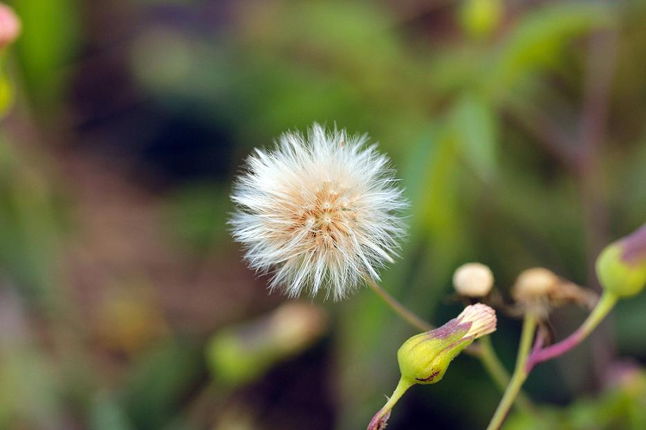 _MG_50452013-10-20.JPG