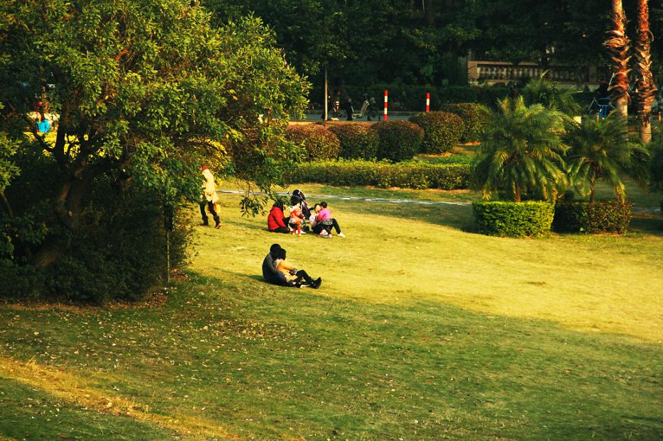 _MG_42422013-10-20.JPG