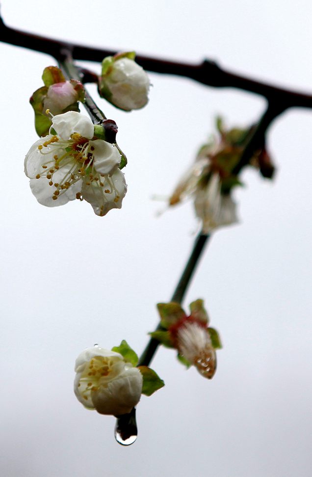IMG_3317__.jpg