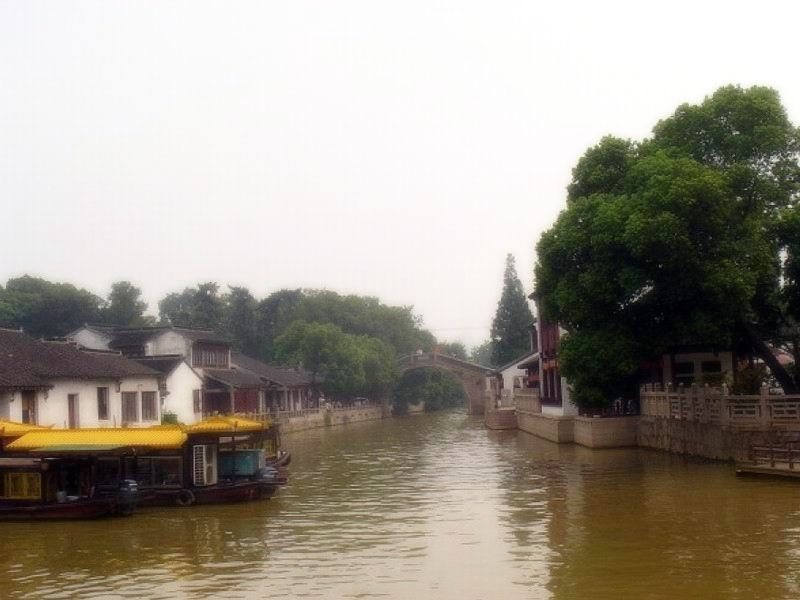 CMG_2116.jpg