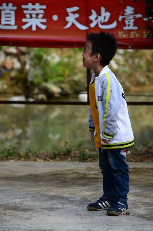 DSC_8295.jpg